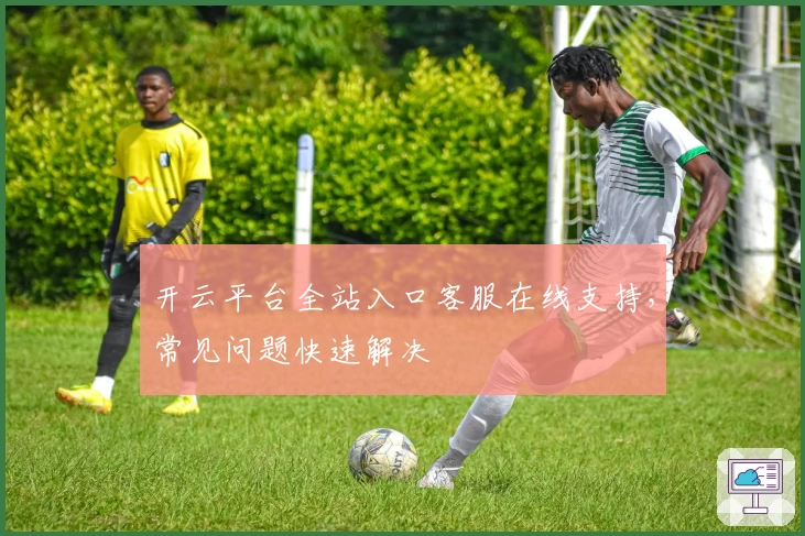 开云平台全站入口客服在线支持，常见问题快速解决