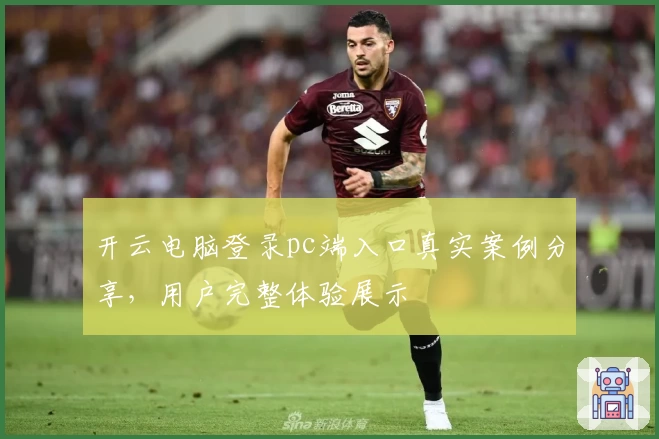 开云电脑登录pc端入口真实案例分享，用户完整体验展示