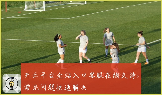 开云平台全站入口客服在线支持，常见问题快速解决