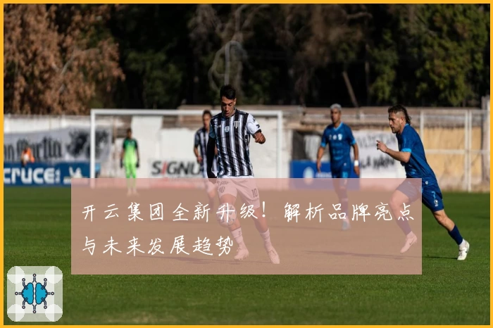 开云集团全新升级！解析品牌亮点与未来发展趋势